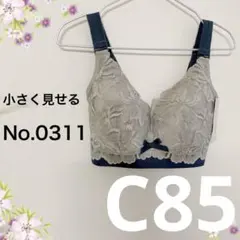 Item thumbnail for item f08a4300-972e-4ea7-95b5-4102ead8983c