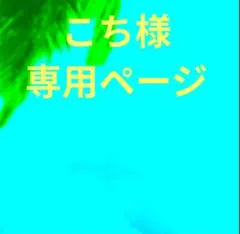 こち様 リクエスト 3点 まとめ商品