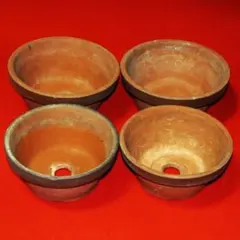 ✳️盆栽鉢✳️ 常滑焼 駄温鉢 浅型 6号・5号