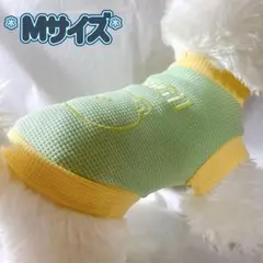 강아지 옷 고양이 옷 애완 동물 옷 애완 동물 옷 강아지 옷 와플 베어 그린 사이즈 M