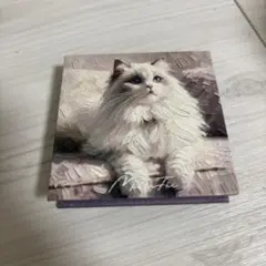 Item thumbnail for item 2cd4b80c-12a5-4b0a-b305-5130f141b127