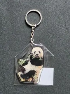 未使用♦️シャンシャンアクリルキーホルダー５種 上野動物園② 未使用♦️シャンシャンアクリルキーホルダー5種 上野動物園②