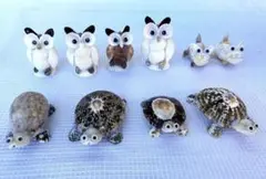 フクロウ カメ シーサー の貝殻 置物 セット