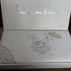 Item thumbnail for item 70d8541f-a5db-4256-8481-c55fcddf6f93