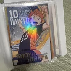 ハイキュー‼︎ 日向翔陽、澤村大地、カード、シール等いろいろ16枚セット