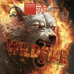 卓球 ラバー アンチ　表ソフト WILD FIRE　 ワイルドファイア R1