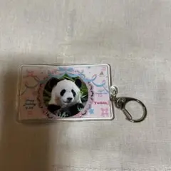 アドベンチャーワールド パンダ 9月限定キーホルダー　バースデー　コンプリート アドベンチャーワールド パンダ 9月限定キーホルダー バースデー