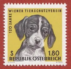 2679 オーストリア 動物愛護120年 子犬の顔 1種完 300円 1966年