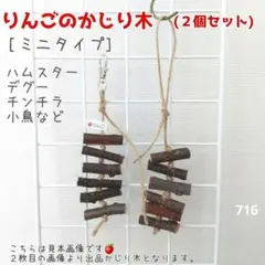 レオコスタ様 リクエスト 2点 まとめ商品