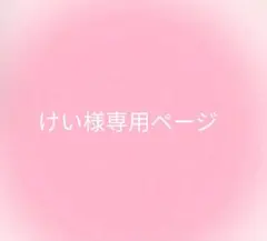 けい様専用ページ ハンドメイドビーズキーホルダー