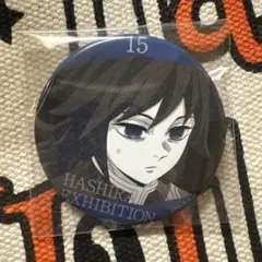 (匿名配送)柱展　冨岡義勇　柱百景　15番　エモーショナル缶バッジ