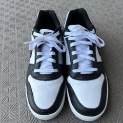 NIKEエバノン28cm