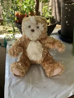 2025年最新】テディ a.iの人気アイテム - メルカリ