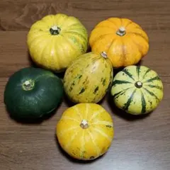 おもちゃかぼちゃ ハロウィンかぼちゃ 6個セット