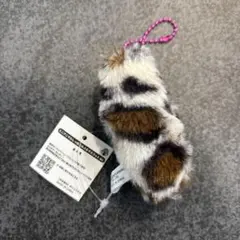 Item thumbnail for item ac5d5d54-8277-4362-99b2-3d6029b19420