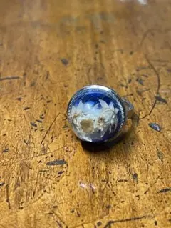 Item thumbnail for item fe5af59a-81e2-4dc7-a725-3ced6b08dce4