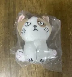 ハイキュー!! ぬいぐるみ ケンマネコ