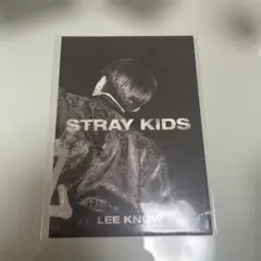straykids リノ 特典 IN生 ミニフォトブック