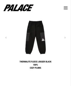 PALACE MeshPanelLongsleeveSlate 27am着モデル - メルカリ