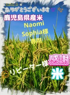 Naomi Sophia様専用　+