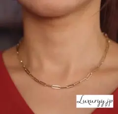 ゴールドシルバー 今期トレンド サージカルステンレス 選 ネックレス 鎖チェーン