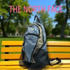 THE NORTH FACE RAY 20 リュック バックパック 水色×グレー