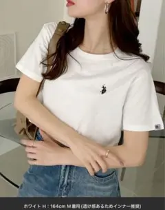 POLO ショート丈Tシャツ