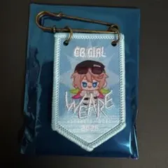 コンパス WEGO ウィゴー 勲章バッジ アダム - メルカリ