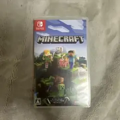 Minecraft Nintendo Switch CERO A