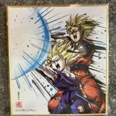 ドラゴンボール 色紙ART 孫悟空 孫悟飯