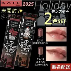 ケイト✧新作 リップモンスター　ホリデー限定　EX-11 EX-12　クリスマス