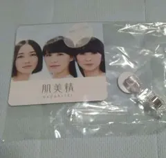 perfume ミュージシャン