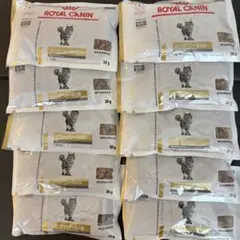 Item thumbnail for item ff5d2a93-9197-4ffd-987b-1785da3869d9