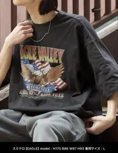ヴィンテージライクデザイングラフィックプリント半袖Ｔシャツスミクロ