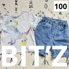 ビッツ 恐竜柄 半袖Tシャツ 夏服 男の子 上下コーデ保育園着 まとめ売り100のサムネイル