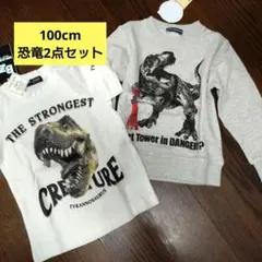 恐竜 新品タグ付き 100cm2点セットトレーナー＆Tシャツ神戸ポートタワーのサムネイル