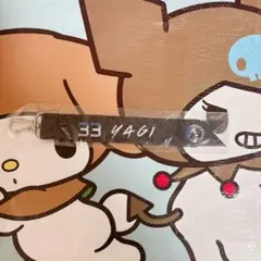 千葉ロッテマリーンズ　BSW ボンフィン　八木彬