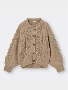 ケーブル カーディガン L /秋 冬 ブラウン ベージュ ニット