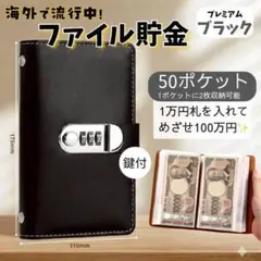 Item thumbnail for item 52a8c95d-3b41-4c54-a349-73b11bce5044