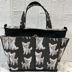 Item thumbnail for item 389c0e27-957b-4667-a98e-b6152eded595