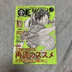 ONE PIECE magazine Vol.10