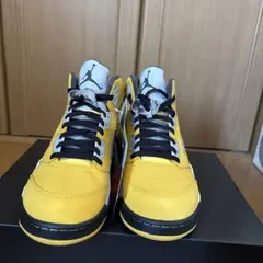 Nike Air Jordan 5 Retro 