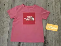 THE NORTH FACE Tシャツ ピンク 120cm　知床限定のサムネイル