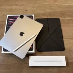 iPad Pro 11インチ Wi-Fi Apple pencil ケースセット