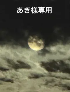 【あき様専用】のサムネイル