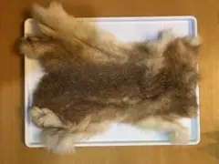 毛皮　ウサギ毛皮　うさぎ　リアルファー　横約30cm 縦約20cm