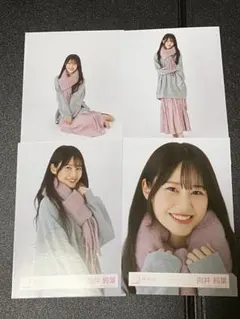 櫻坂46 マフラーコーデ 生写真 4種コンプ　backs Live 向井純葉