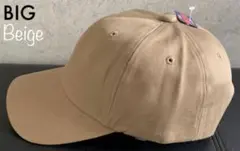 Item thumbnail for item 323d3f50-38f1-485a-a175-1ecb221611fc