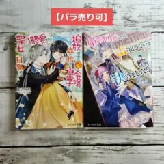 ビーズログ文庫　特典セット ビーズログ文庫 特典セット ビーズログ」検索結果 | アニメイト