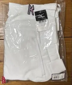 【新品未使用】 ミズノ 野球パンツ L